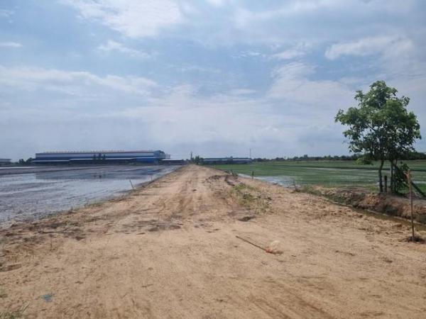 ���ԧ��� �� coasset22