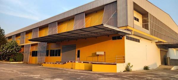 ��¹�û�� �� ritthichai