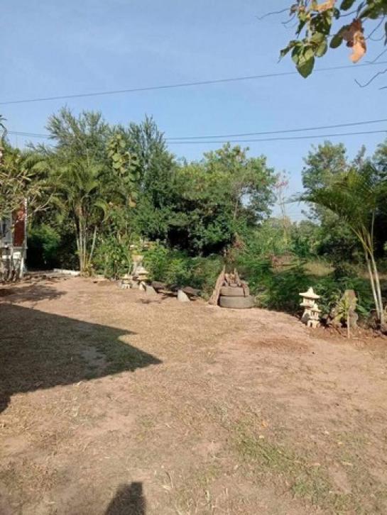 ��º�ҹ ����ҧ ྪú���