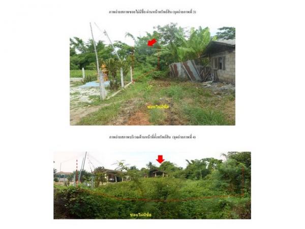 ��º�ҹ �ҧ ��§����