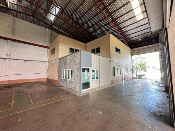 ⡴ѧ���ͧ �� PL BUA