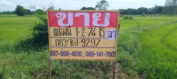 �͹�� �� zionasset1