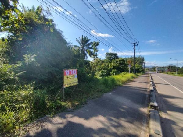 ������ �� zionasset1