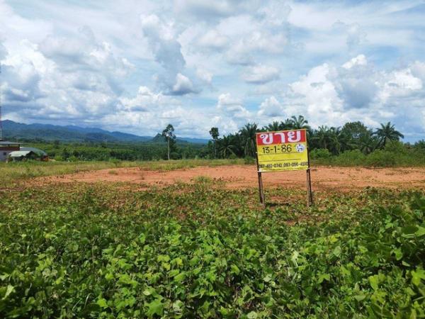 ������ �� zionasset1