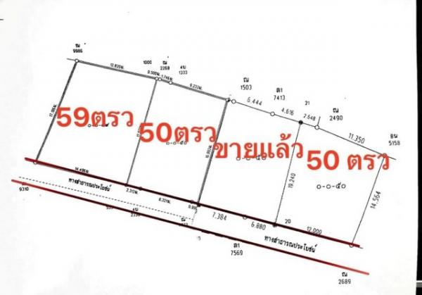�ѹ���� �� northern1