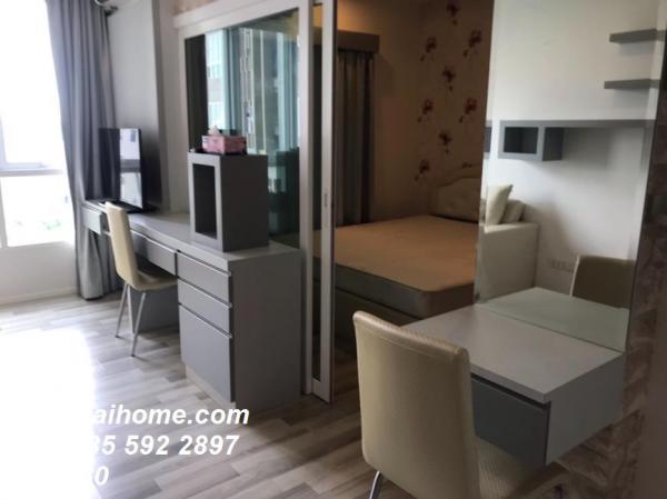 �͹����������¹�� ����ͧ