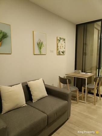 �͹���ͧ���� ���⢹�