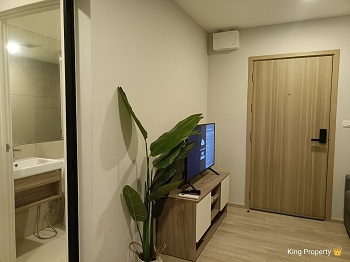 �͹����������ú ���⢹�