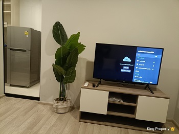 �͹����ҧ��ǹ ���⢹�