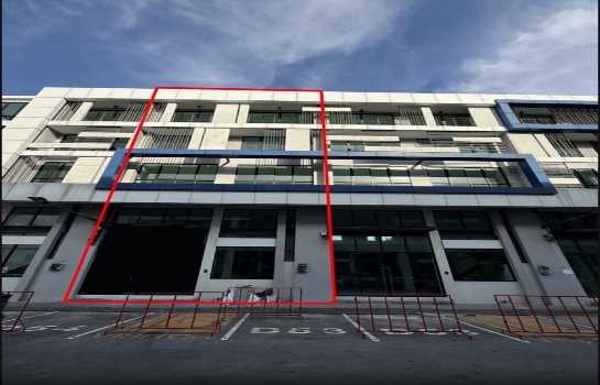 �س ��ѳ��