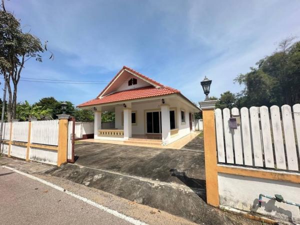 �ѹ��ᾧ �� northern1