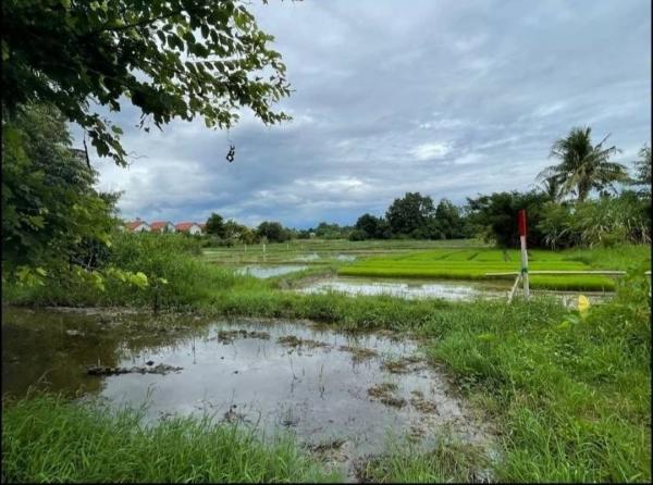 �ҧ�� �� northern1