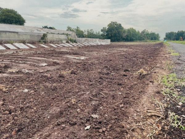 ��ͧ��ǧ �� kulchaya1