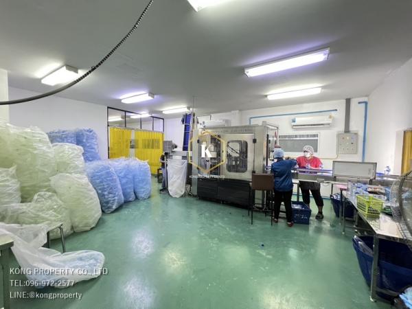 ��»����ҹ� �� Kong property