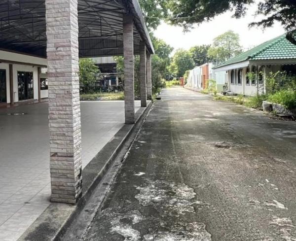 �չ���� �� 1000property