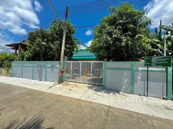 �ѹ���� �� onanong khumaphao