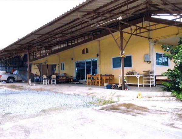 ��ҹ�ź��� 13,500,000 �ҷ