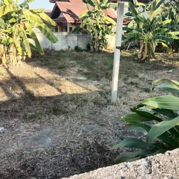 ������ �� onanong khumaphao