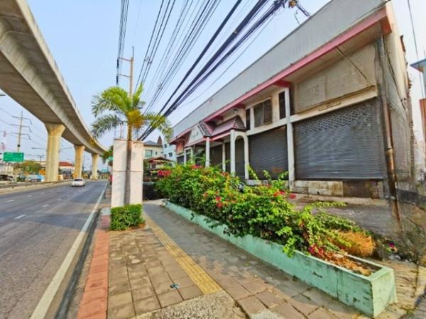 ���ͧ �� Kenestate