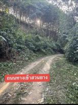 ��·��Թ �Ҥһ�С�Ȣ�� 120,000 �ҷ