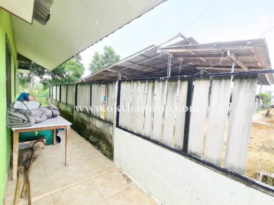 ��º�ҹ ����ҧ ྪú���