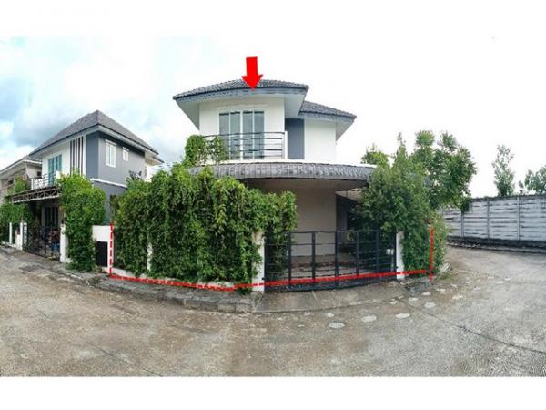 ��ҹ����� �� compos2566