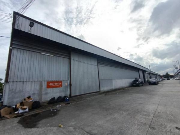 ⡴ѧ�ҧ��� �� asanghapl