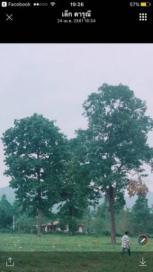 ���Թ��Ңͧ����ͧ ���