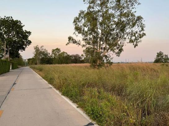 ที่ดิน ติดถนนคอนกรีต 3708 ตารางวา ที่ดิน ติดถนนคอนกรีต 3708 ตารางวา