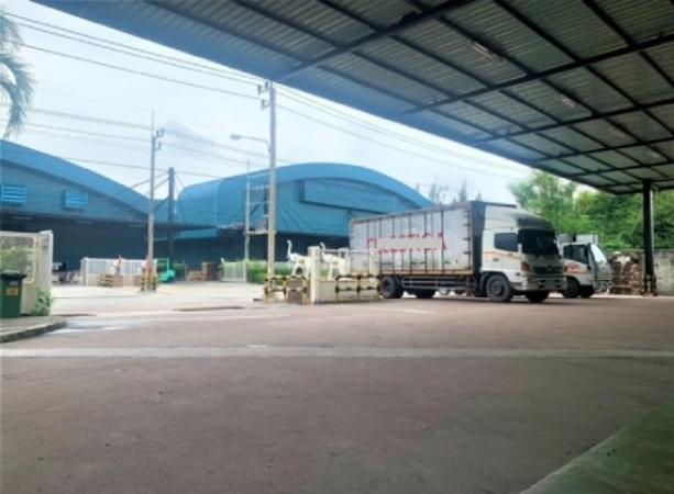 ����Ҫ� �� sumalee intavong