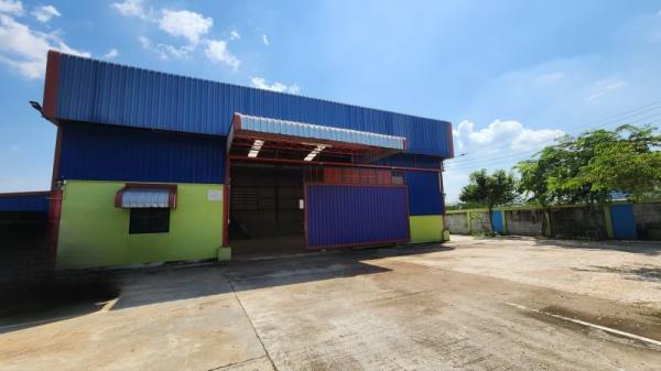 �չ���� �� 1000property