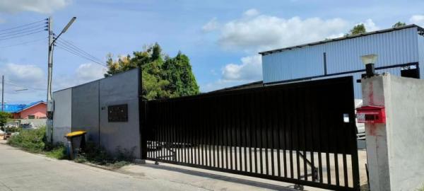 ��»����ҹ� �� 1000property