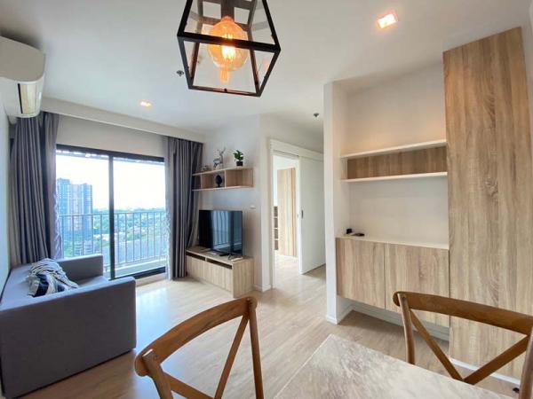 �Ң�ѭ �Ź�����