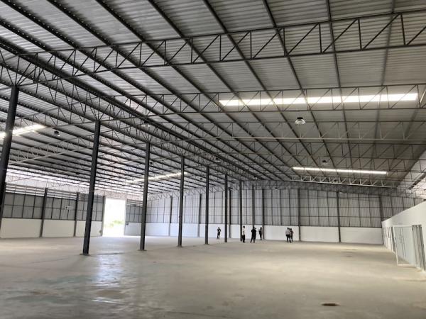 ⡴ѧ�ҧ��� �� PL BUA