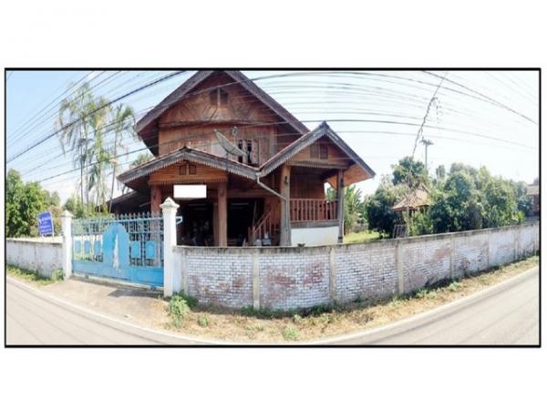 ������ �� panaya.opalopal