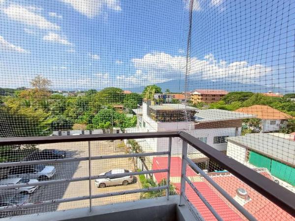 �Ң�ѭ �Ź�����