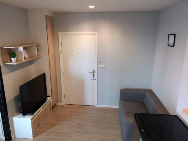 �Ң�ѭ �Ź�����