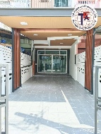 ��ǹ������� �չ����