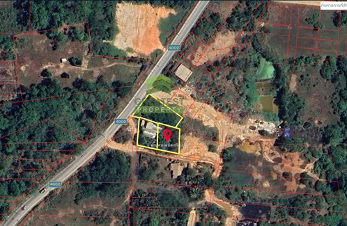 ��·��Թ ���ͧ��������