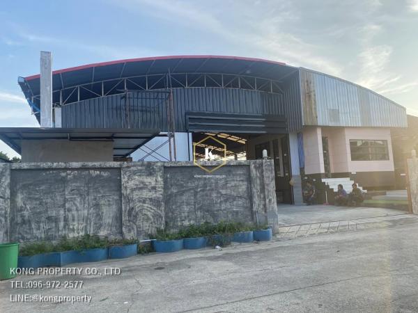 ���١�� �� Kong property