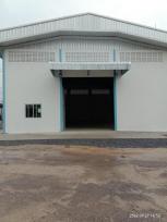 �ç�ҹ �Ҵ������� 100 ���ҧ��