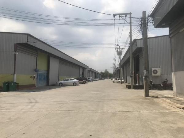 ��ʾ��� ( �� )