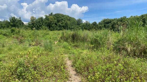 ที่ดิน น่าน ที่ดิน น่าน