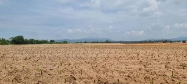 �ź��� �� ahousepost9