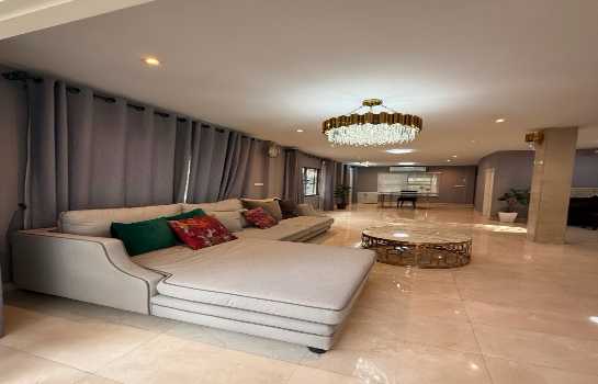 �س ��ѳ��