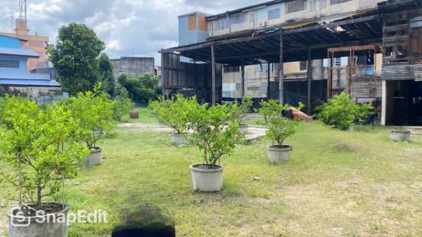 ��ا෾ �� zionasset1