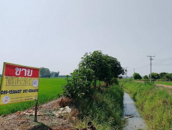 ������ �� zionasset1