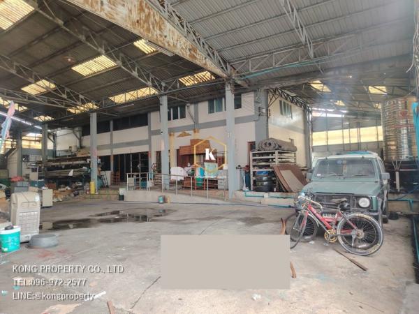 ˹ͧ�� �� Kong property