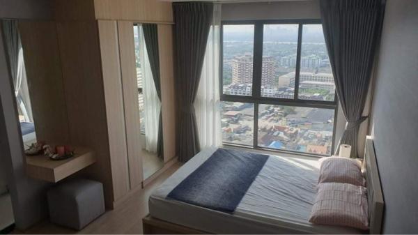 �ҧ�� �� All Living