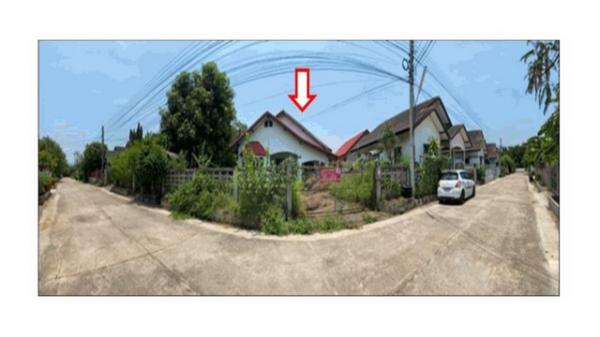 �ӻҧ �� compos2566